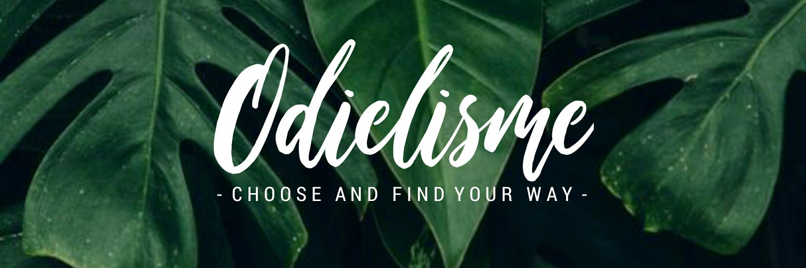 odiie10's profile banner image