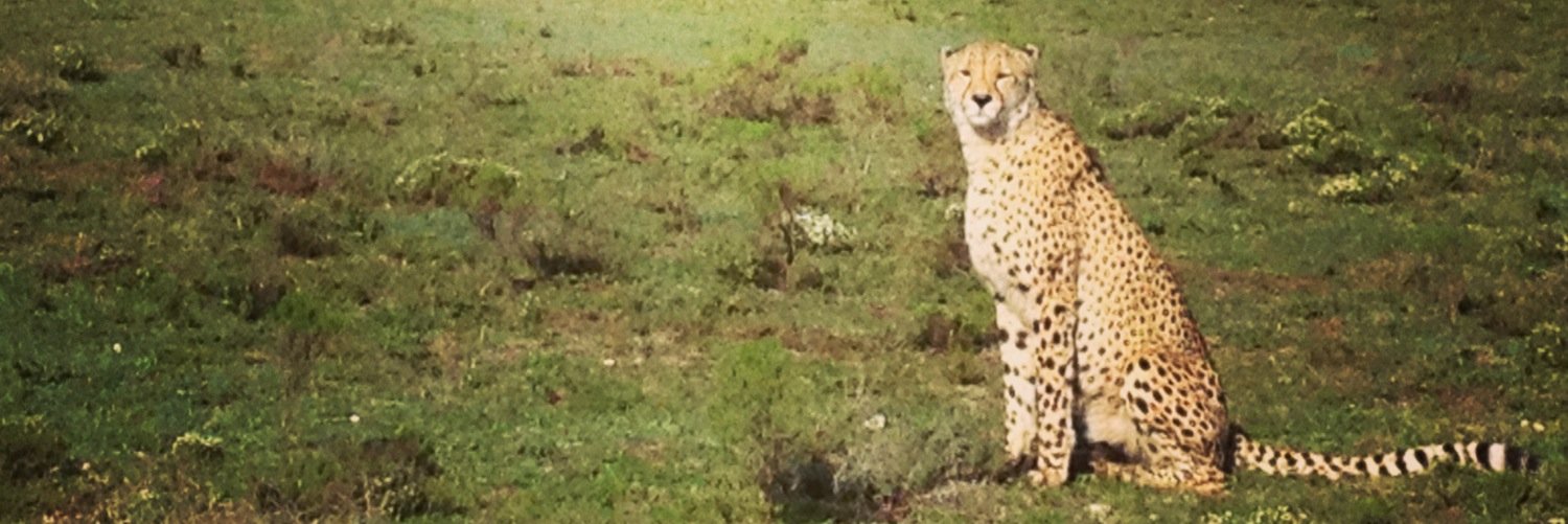 @jesstud.bsky.social banner