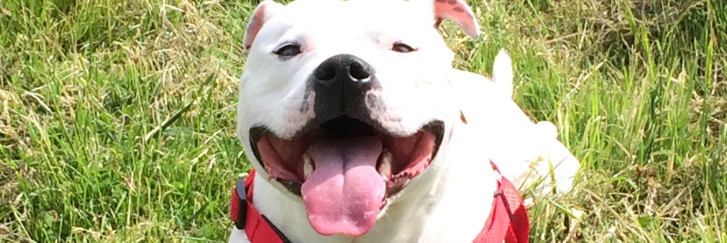 chrisdeg90's profile banner image