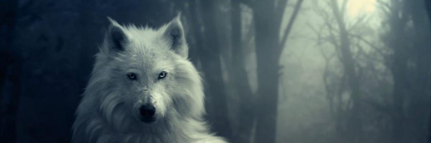 _RafaEG's profile banner image