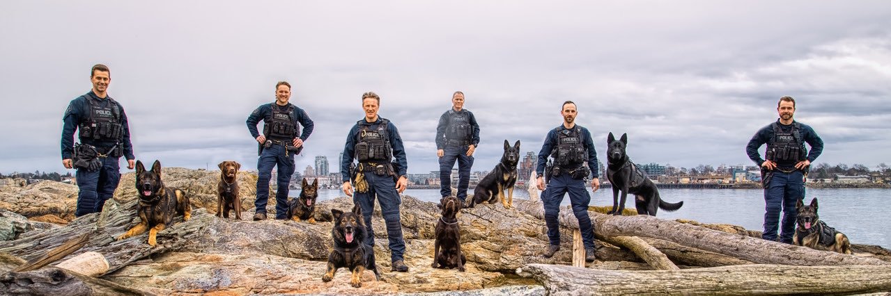 Integrated Canine Service banner