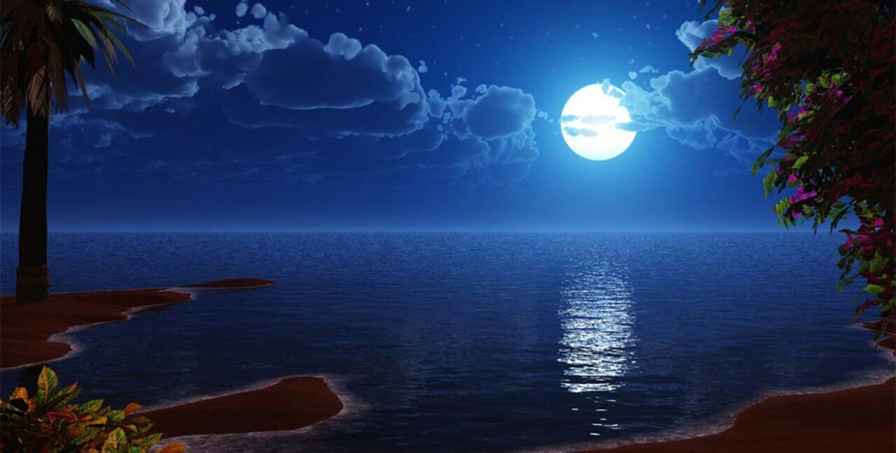 Kholisile01's profile banner image