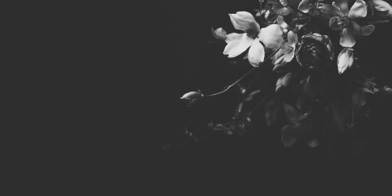 antoninlarco's profile banner image