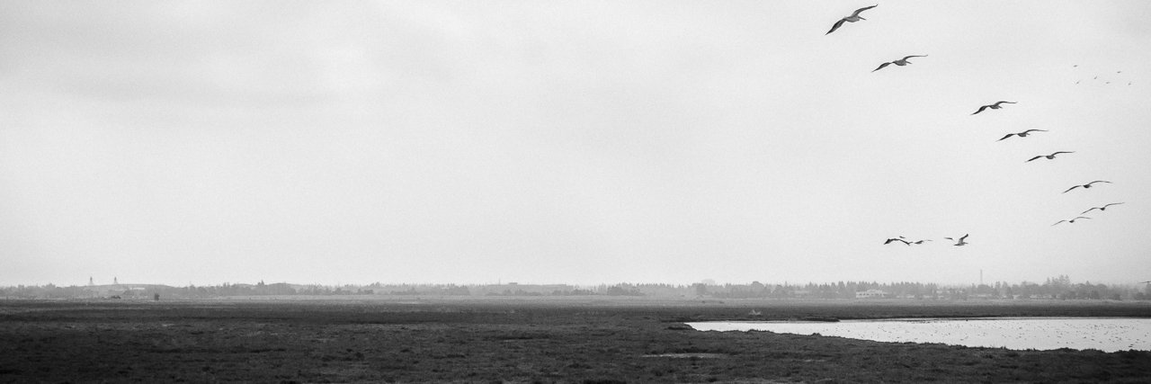 _mrrli's profile banner image