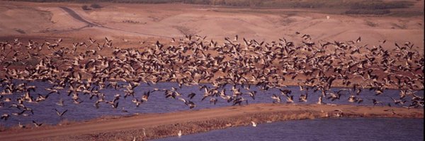 ooitje Profile Banner