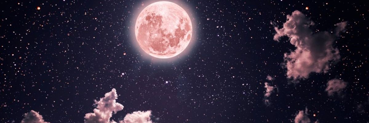 rotemat's profile banner image