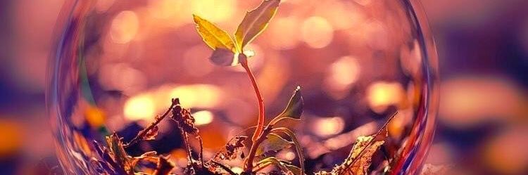 xxbb00's profile banner image