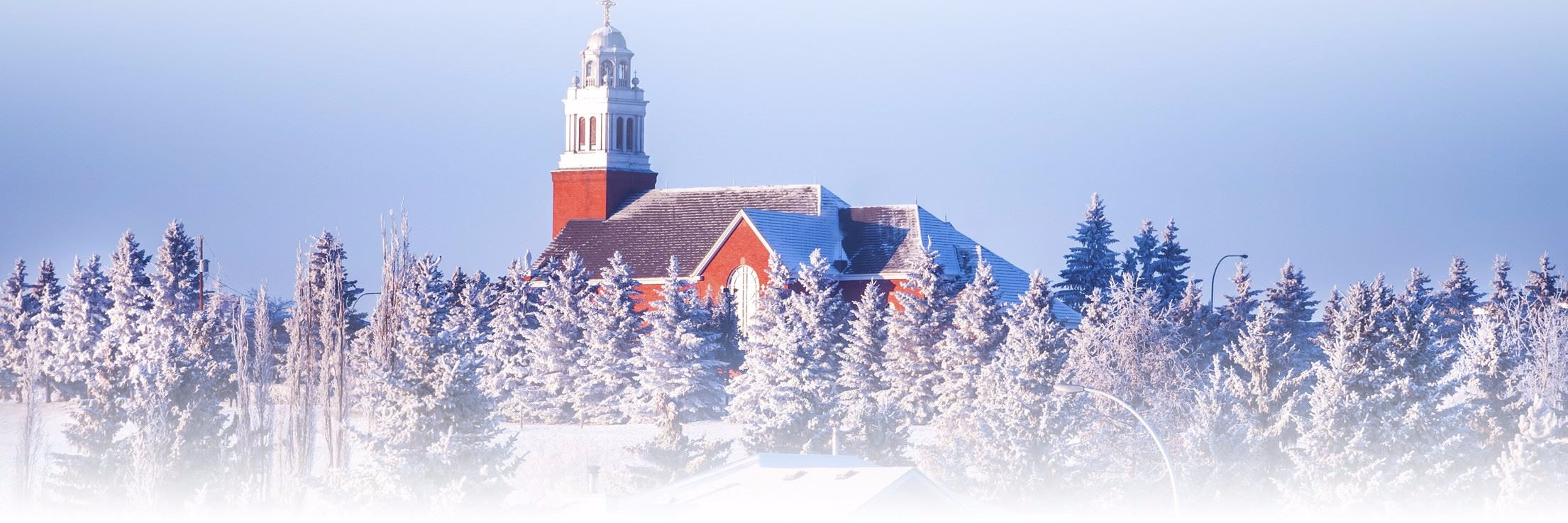 Kristine Nelson banner