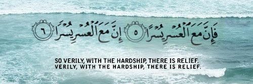 MSA_SCSU's profile banner image