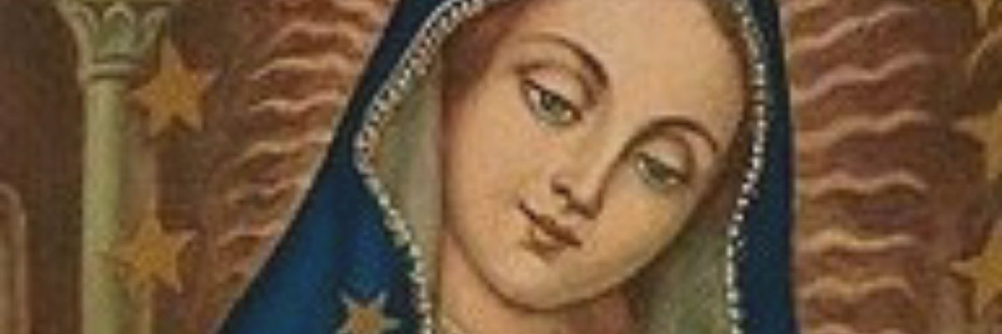 avraham66's profile banner image