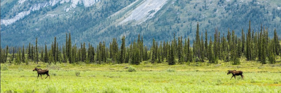 Sierra Club Wildlands and Wilderness Team banner