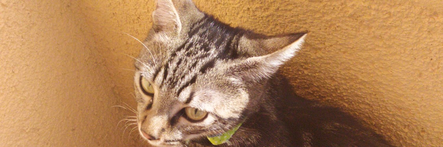 FernandoH74's profile banner image
