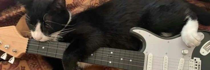 moonsrina's profile banner image