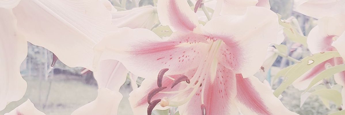 ⃟⃟⃟⃟⃟ banner