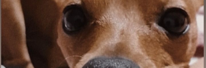 Mileefilippini5's profile banner image