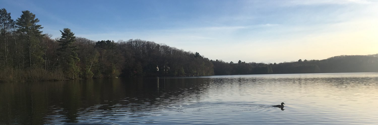 Andrea DeJong banner