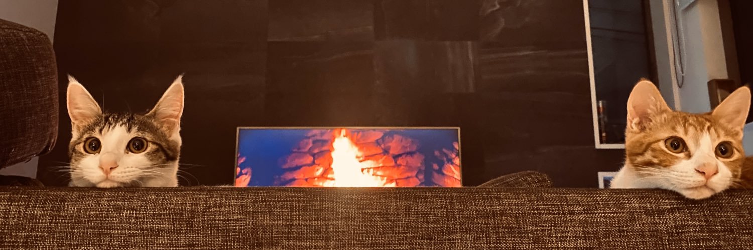 小林未沙 / Misa KOBAYASHI's banner