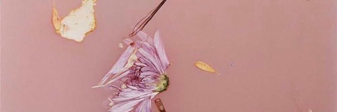 lovst7ls's profile banner image