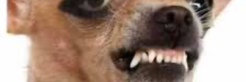 GuilleRC07's profile banner image