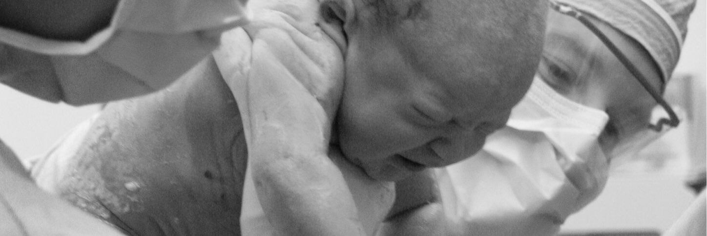 William Schnettler banner