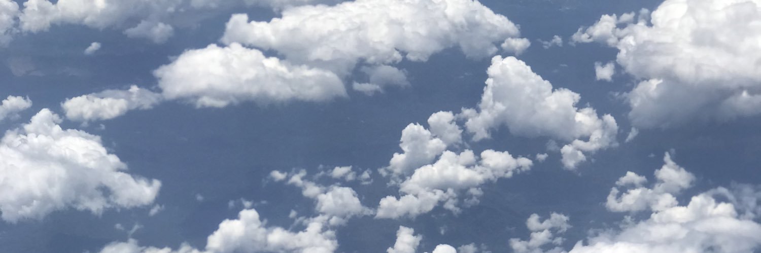 🍮 banner