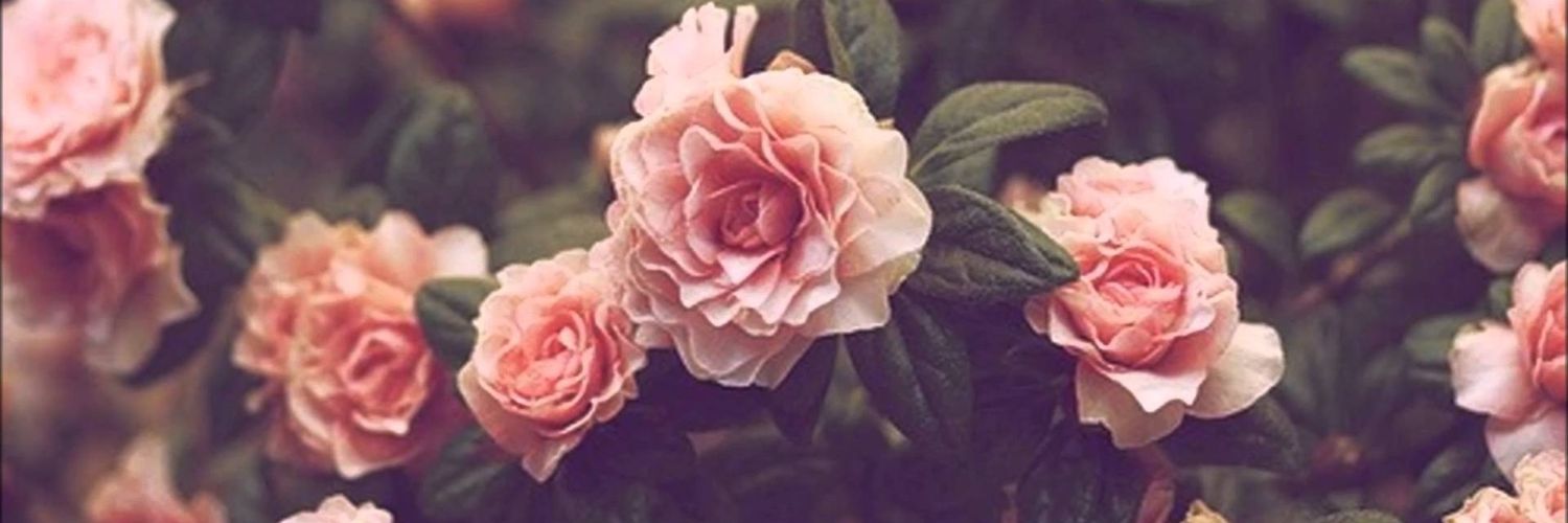 Marynabd's profile banner image