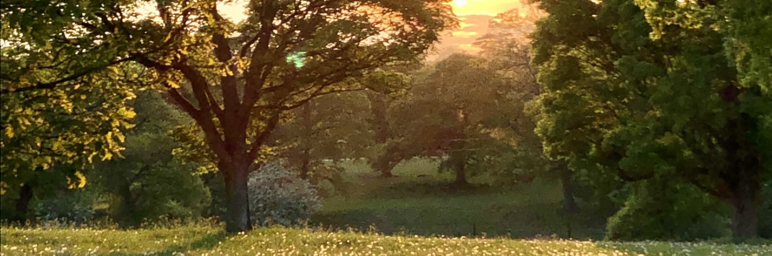 Richardb1971's profile banner image
