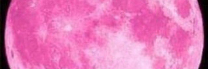 かまぼこ banner