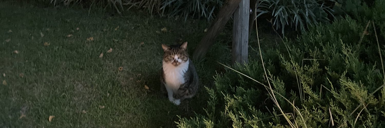 pet_bottle's profile banner image