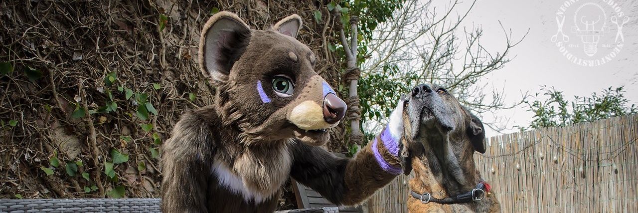 Sam/Mel 🐺 (more active on Mastodon) banner