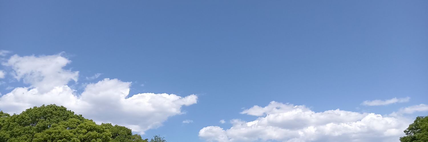 えみこ banner
