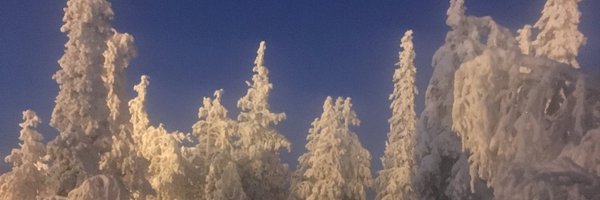 Mattlin_M Profile Banner
