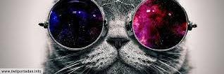 candesadovsky's profile banner image