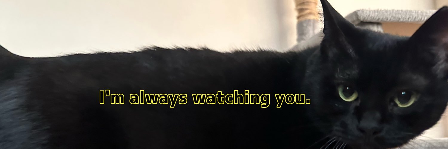 いなば🍣🦪🍖 banner