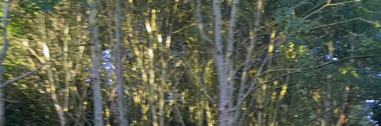 simmystreet's profile banner image