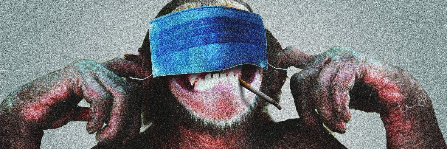 DanDannato's profile banner image