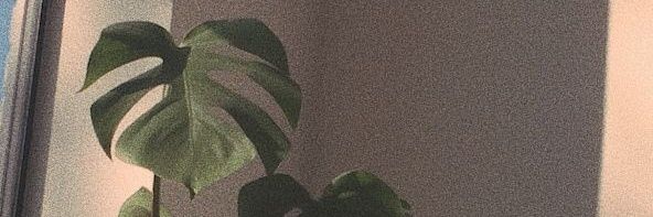 𝐌𝐞𝐧𝐚 banner