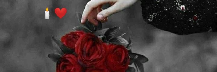 🕊️🌷Fati ❥˙๑'s banner