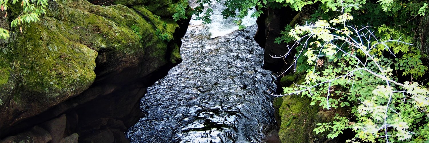 シンさん@note毎日投稿2200日突破した人 banner