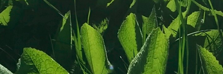 jordaplan's profile banner image