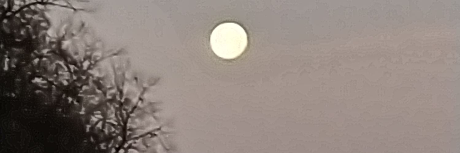 Daniel Devitt banner