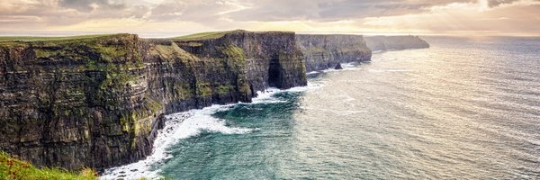 AlCRIproject Profile Banner