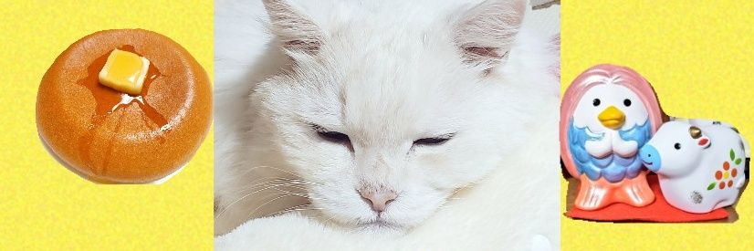 meesuke1's profile banner image