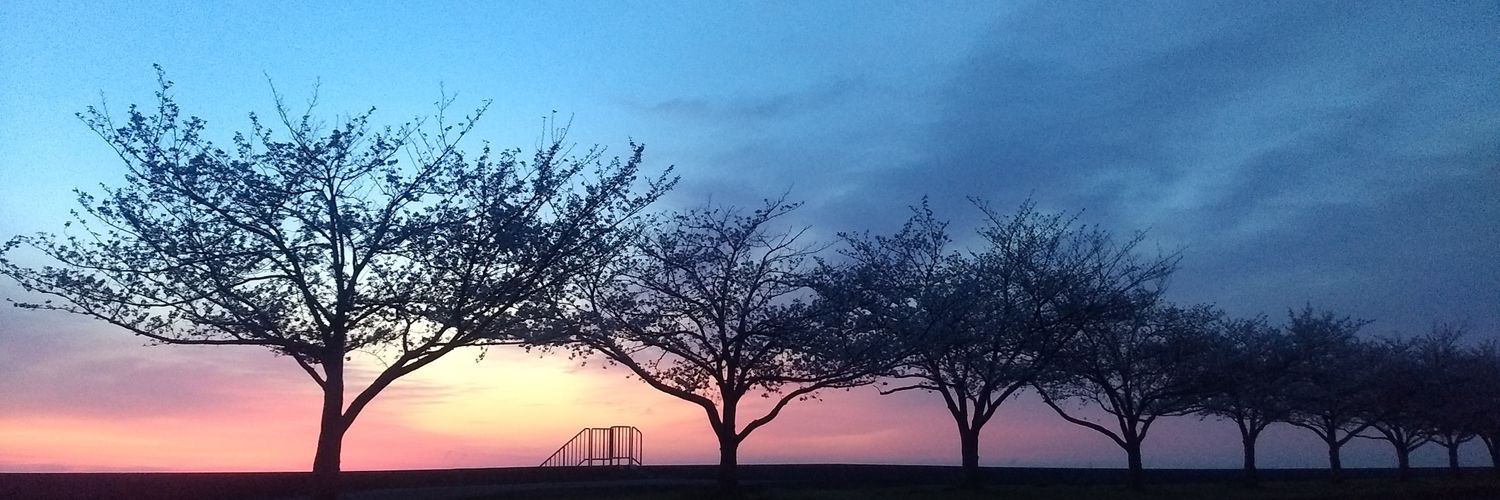 solmac758's profile banner image