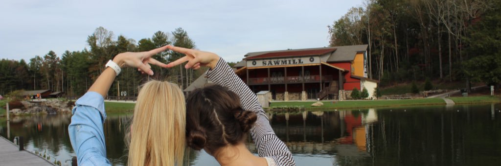 ADPiTennessee banner