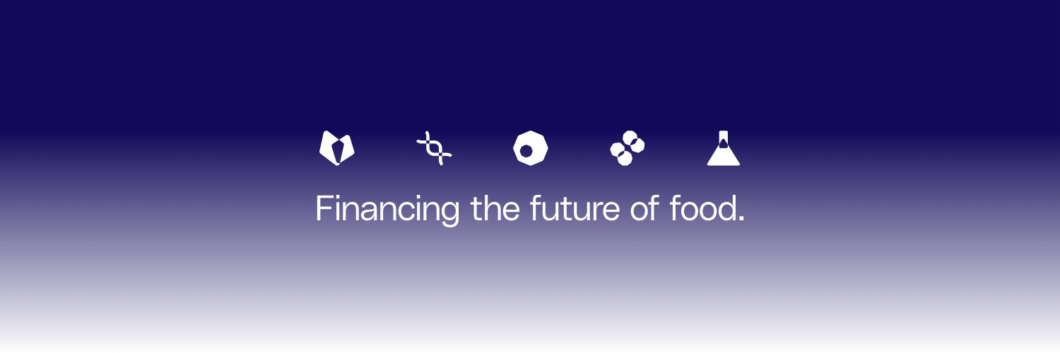 Synthesis Capital banner