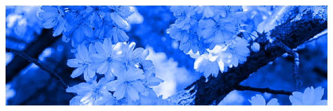 TopSlutOfUA's profile banner image
