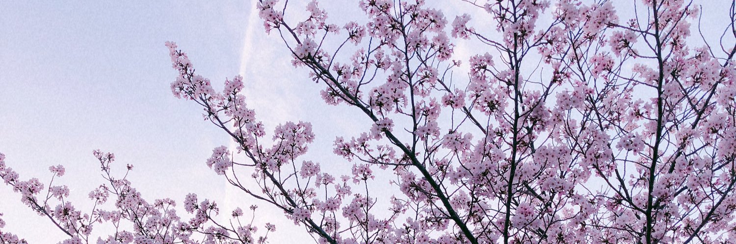 kagerimaru's profile banner image