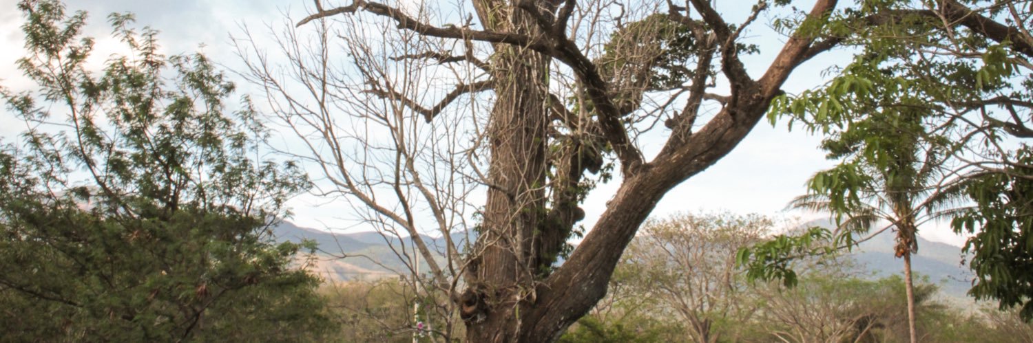 adrigonzalezlu's profile banner image