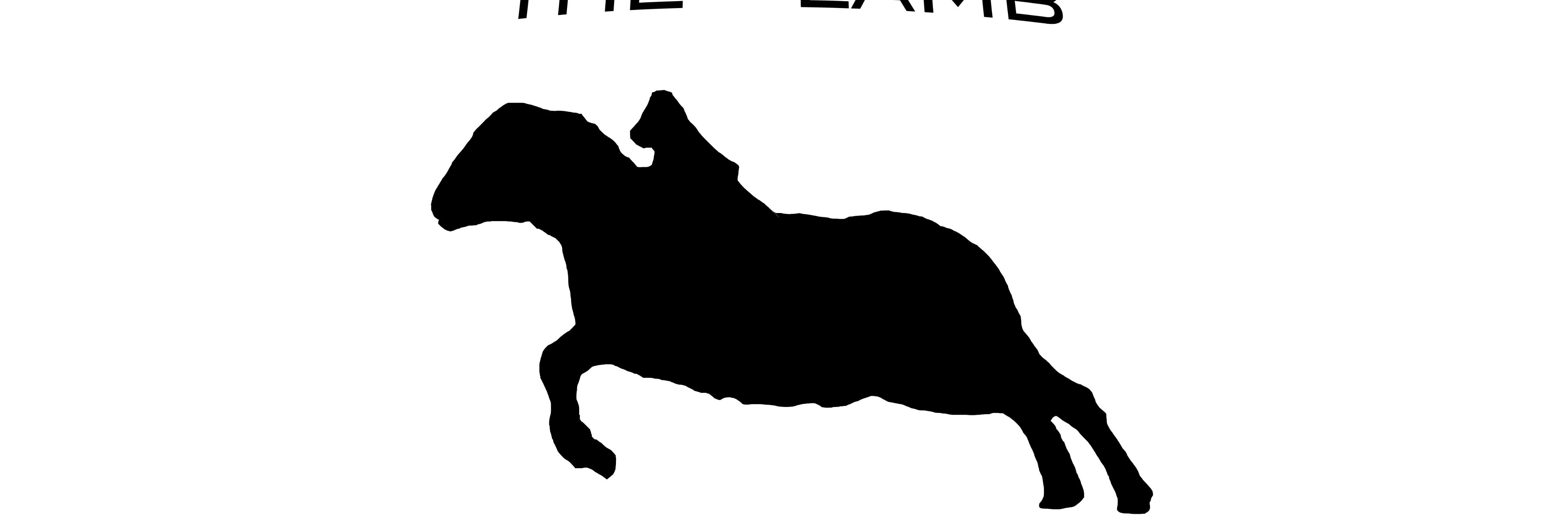thelambnational's profile banner image